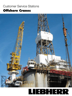 Customer Service Stations Offshore Cranes