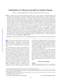 Methylation of 2-Hydroxyestradiol in Isolated Organs
