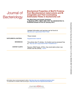 Antimutator Roles in Escherichia coli smegmatis and