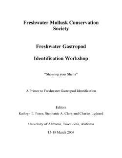 Freshwater Mollusk Conservation Society Freshwater Gastropod