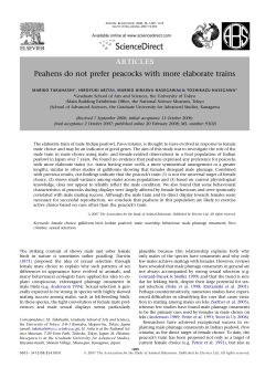 ARTICLES Peahens do not prefer peacocks with more elaborate trains