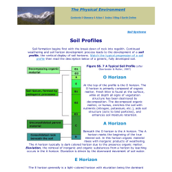 Soils: Soil Profiles