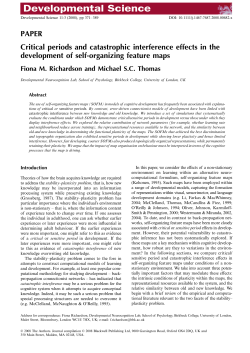 PAPER Critical periods and catastrophic interference effects in the