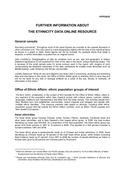 further information about the ethnicity data online resource