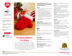 Holiday Mitten Scrubby