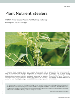173 Plant Nutrient Stealers