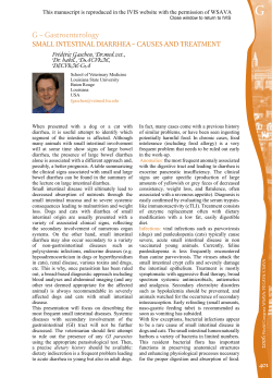 Small Intestinal Diarrhea