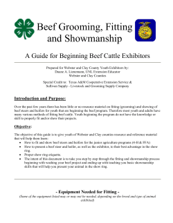 Beef Grooming Fitting and Showmanship