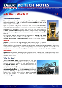 1.1.1 Mild Steel - Dulux Protective Coatings