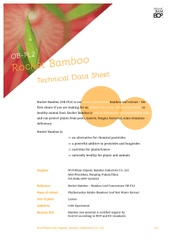 Rocket Bamboo (OB-PL2) is our most concentrated bamboo leaf