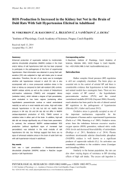 ROS Production Is Increased in the Kidney but Not in the Brain of