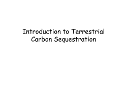 Introduction to Terrestrial Carbon Sequestration