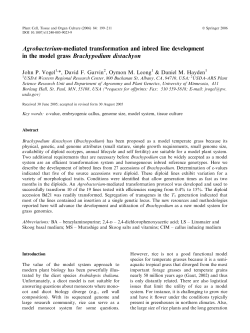 Agrobacterium-mediated transformation and inbred line