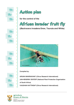 Bactrocera invadens Action plan_Feb2013