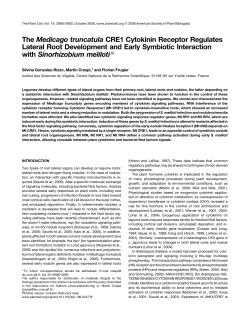 The Medicago truncatula CRE1 Cytokinin Receptor Regulates