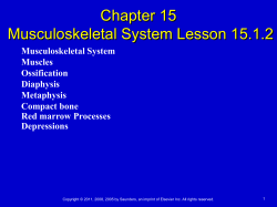 Combining Form Meaning - ROP Medical Terminology