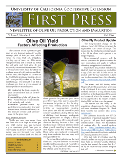 Olive Oil Yield - UCCE Sonoma County