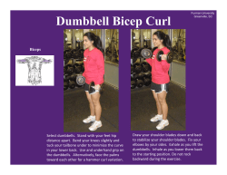 Dumbbell Bicep Curl