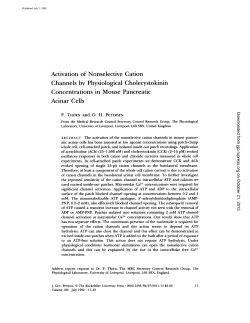 Activation of Nonselective Cation Channels by