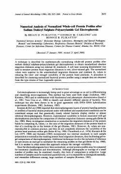 Numerical Analysis of Normalized Whole-cell Protein