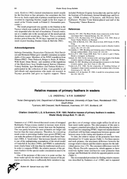 Relative masses of primary feathers in waders