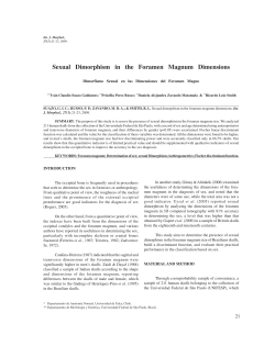 Sexual Dimorphism in the Foramen Magnum