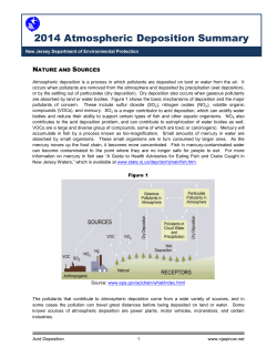 Acid Deposition Summary