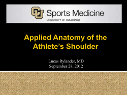 Anatomy of the Athlete`s Shoulder
