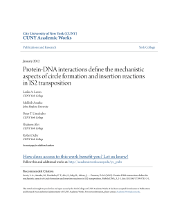 Protein-DNA interactions define the mechanistic aspects of circle