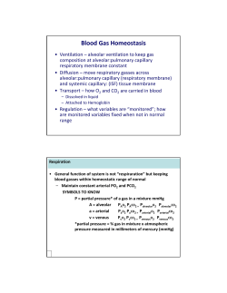 Blood Gas Homeostasis