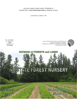 2017 catalog and cover