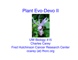 Plant Evo