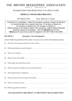 Instructions to Candidates - Read the questions carefully