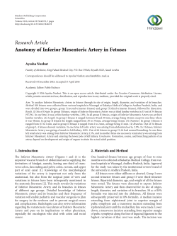 Anatomy of Inferior Mesenteric Artery in Fetuses