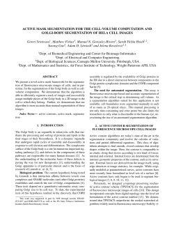 ACTIVE MASK SEGMENTATION FOR THE CELL