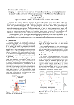 Imaging of Transverse Cross Section of Carotid Artery Using
