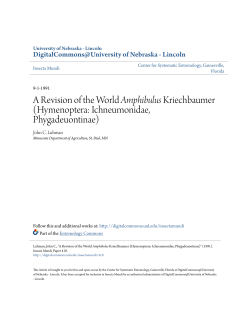 A Revision of the World Amphibulus Kriechbaumer (Hymenoptera