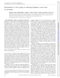 Determinants of valve gating in collecting lymphatic vessels from rat
