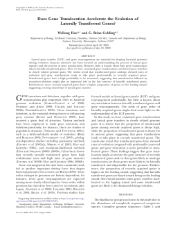 Does Gene Translocation Accelerate the Evolution of Laterally