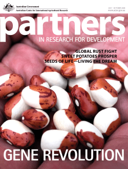 global rust fight sweet potatoes prosper seeds of life&mdash;living