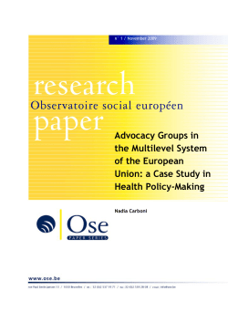 Advocacy Groups in the Multilevel System of the European Union: a