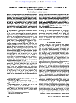 Membrane Orientation of Rh(D) Polypeptide and