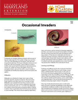 HG 8 Occasional Invaders - University of Maryland Extension