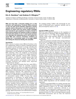 Engineering regulatory RNAs