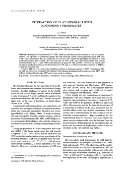 interaction of clay minerals with adenosine-5