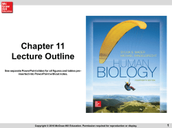 chapt11_HumanBiology14e_lecture