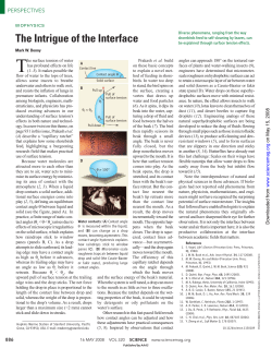 The Intrigue of the Interface