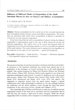 Influence of Different Modes of Oxygenation of the Small Intestinal