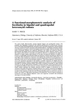 A functionalmorphometric analysis of forelimbs in bipedal and