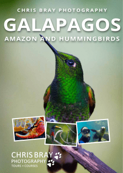 Brochure - Chris Bray Photography